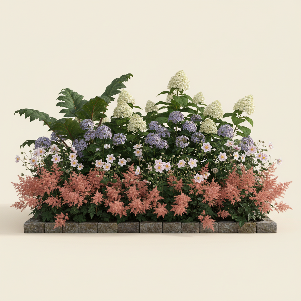 Rabatt med rabarber, hortensia, höstflox i halvskugga – 6 m² perennrabatt
