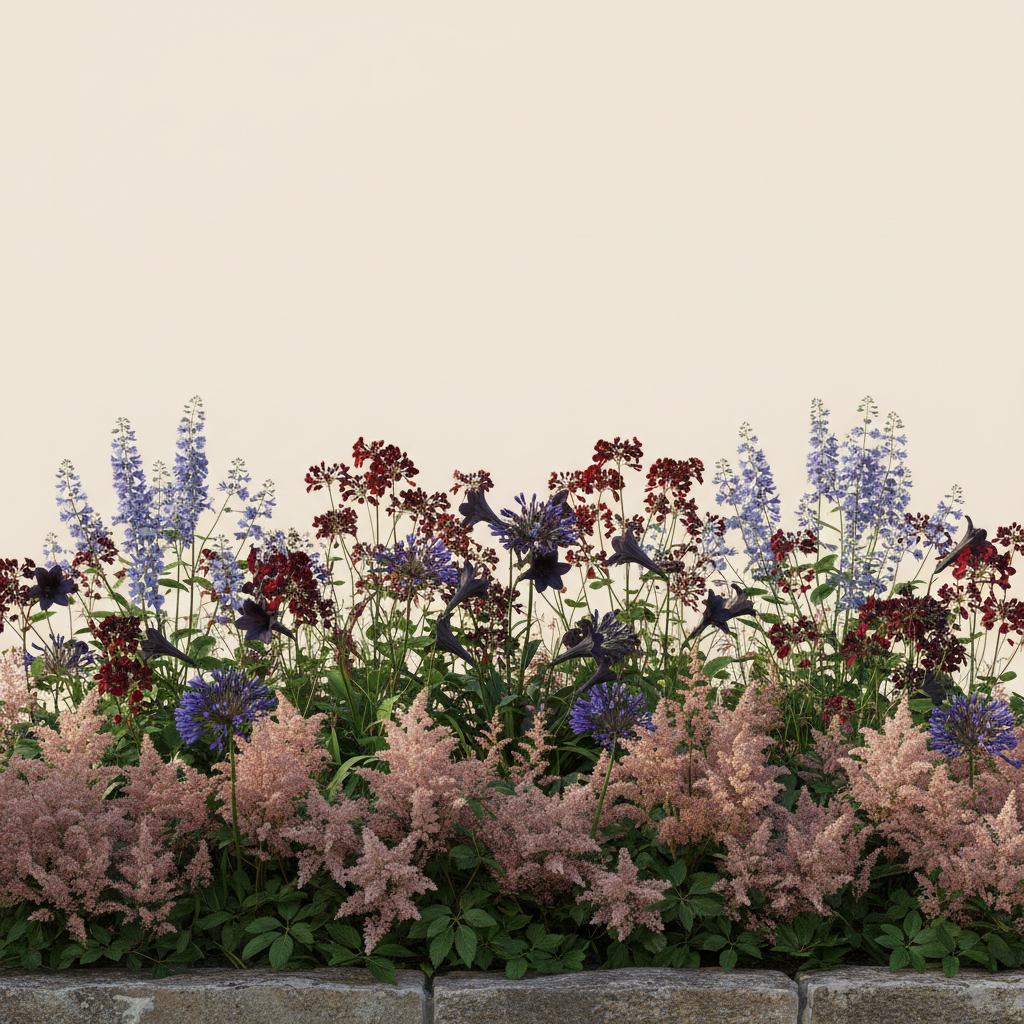 Rabatt med astilbe, akleja, agapanthus i halvskugga – 4 m² perennrabatt