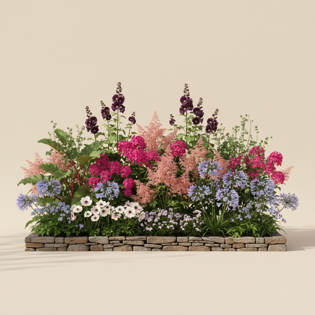 Rabatt med anemone, höstflox, rabarber i halvskugga – 12 m² perennrabatt